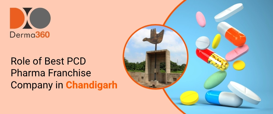 Role of Best PCD Pharma Franchise Company in Chandigarh