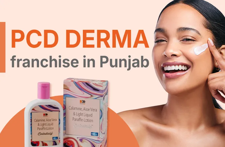 Growing Scope of PCD Pharma Franchise in Punjab